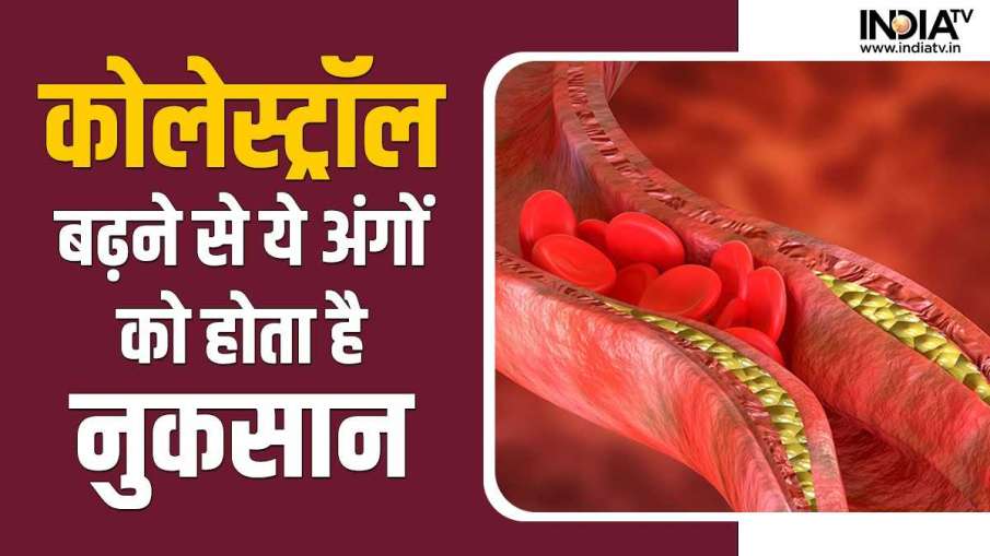 Cholesterol problem- India TV Hindi