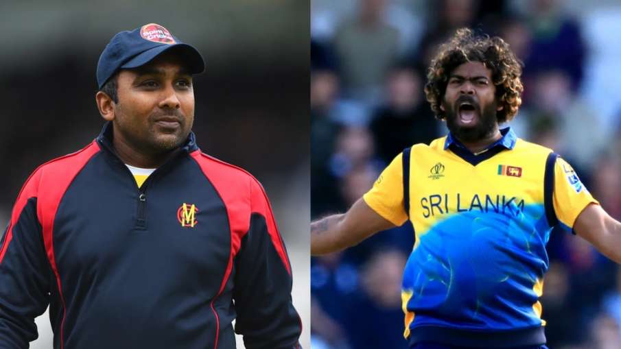 Mahela Jayawardene, Lasith Malinga- India TV Hindi News