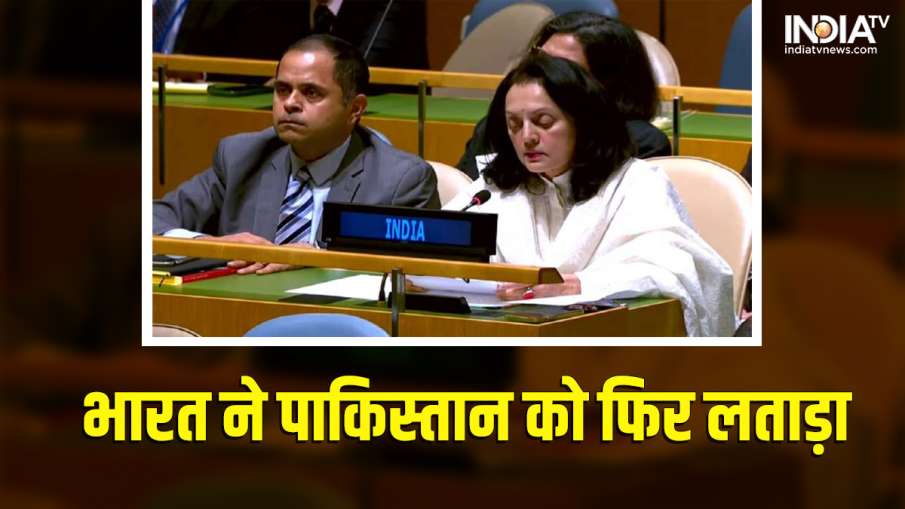 India in UNGA Meeting- India TV Hindi News