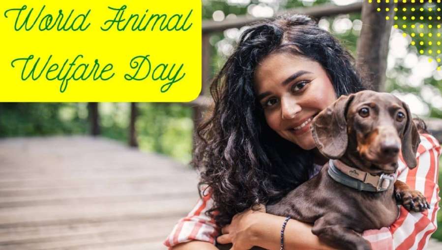 World Animal Welfare Day 2022- India TV Hindi News