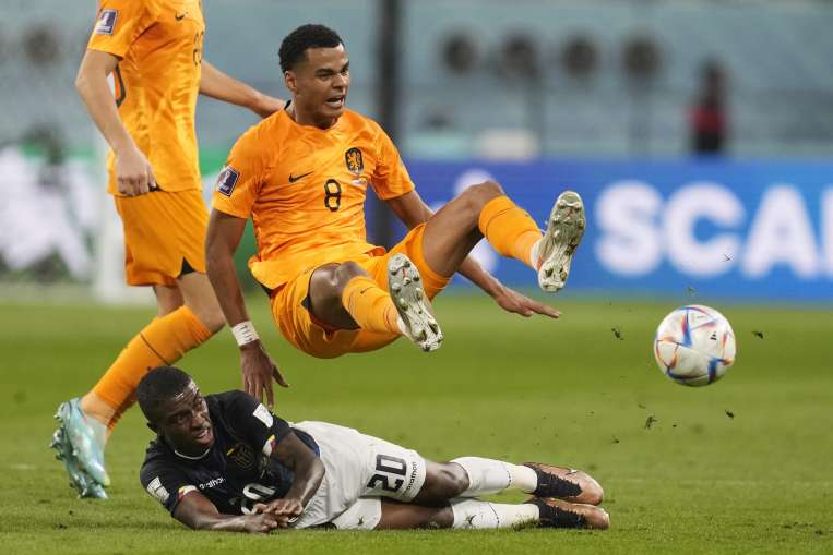 Netherlands vs Ecuador - India TV Hindi