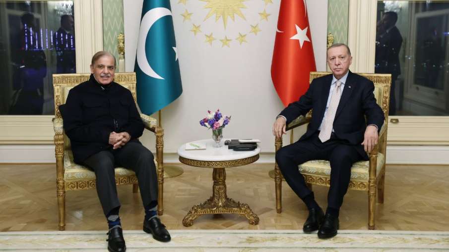 पाकिस्तान के प्रधानमंत्री शहबाज शरीफ और तुर्किये के राष्ट्रपति रजब तैयब एर्दोआन- India TV Hindi