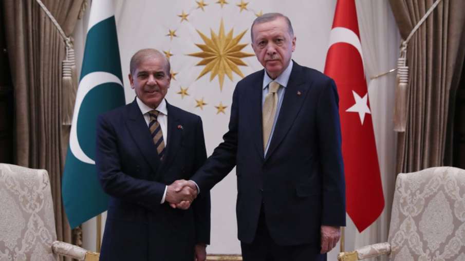 पाकिस्तान के पीएम शहबाज शरीफ और तुर्किये के राष्ट्रपति रजब तैयब एर्दोआन- India TV Hindi