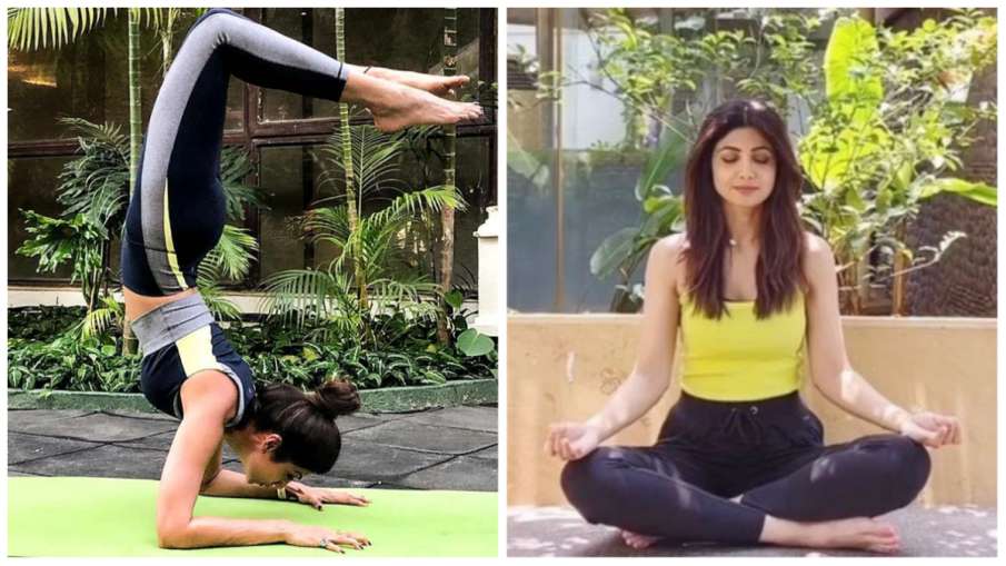 Shilpa_yoga- India TV Hindi