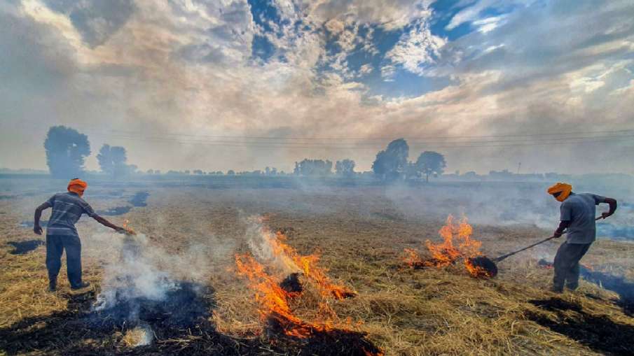 पंजाब में पराली जलाने की घटनाएं लगातार जारी- India TV Hindi News