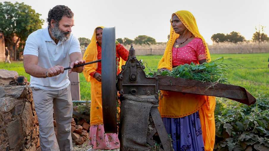 rahul gandhi- India TV Hindi