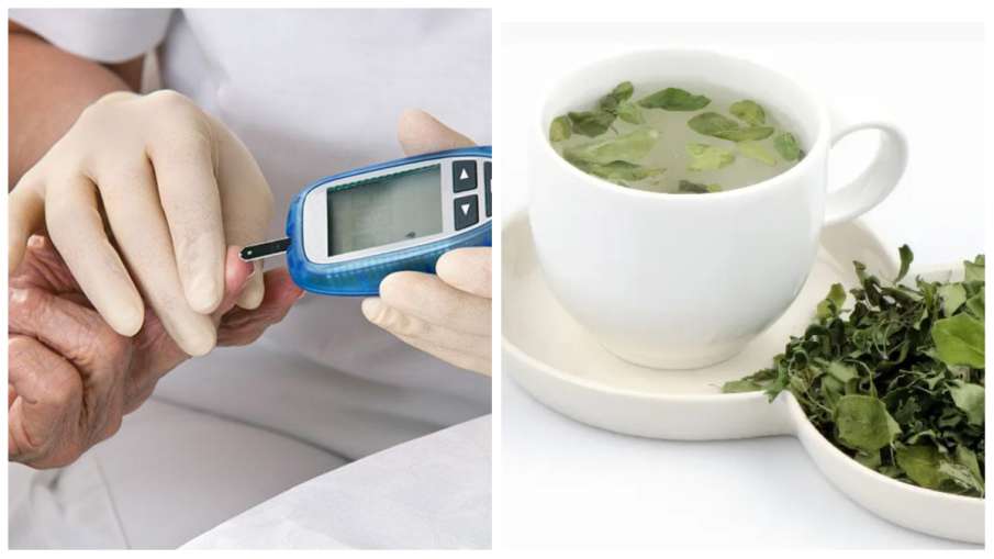 drumstick leaves tea benefits in diabetes- India TV Hindi