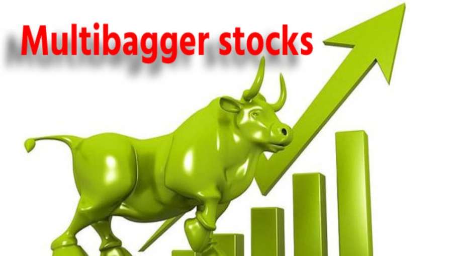 Multibagger Stock - India TV Hindi