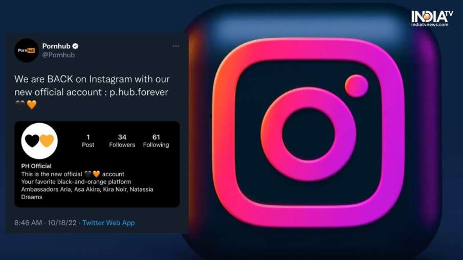Instagram Pornhub Account- India TV Paisa