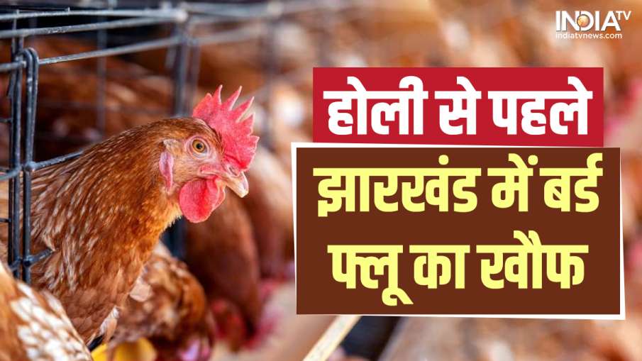 Bird flu crisis in Jharkhand- India TV Hindi