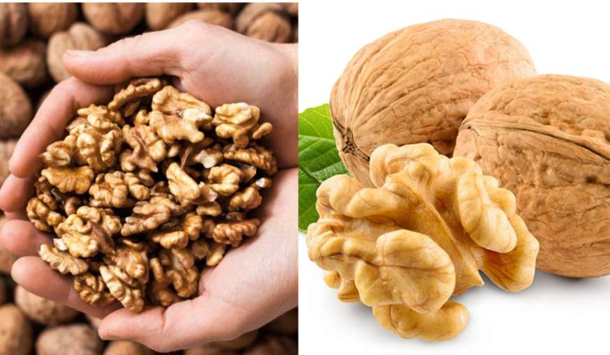 benefits of eating walnuts - India TV Hindi