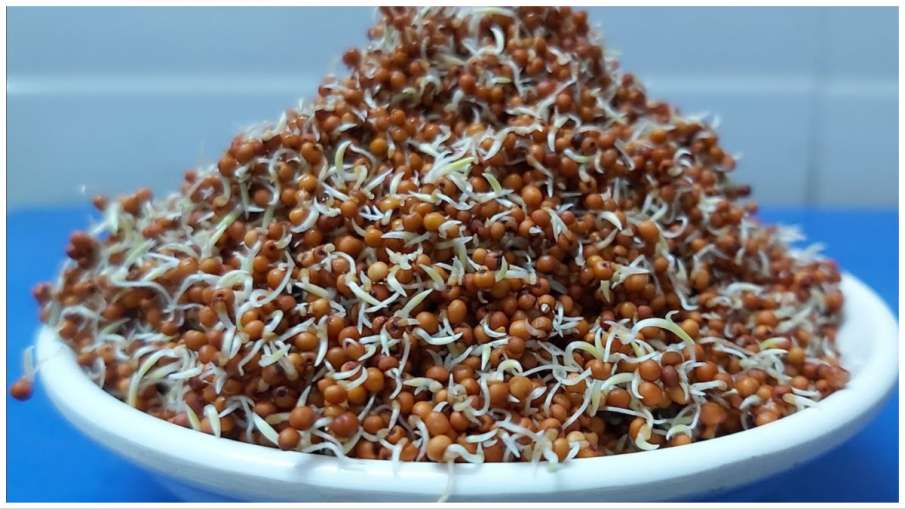Sprouted Ragi- India TV Hindi