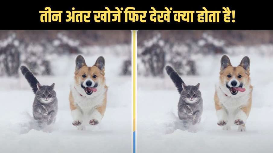 spot three differences in this photo- India TV Hindi