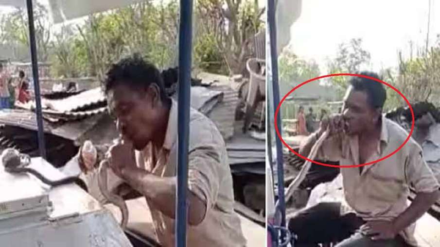 man eats snake - India TV Hindi