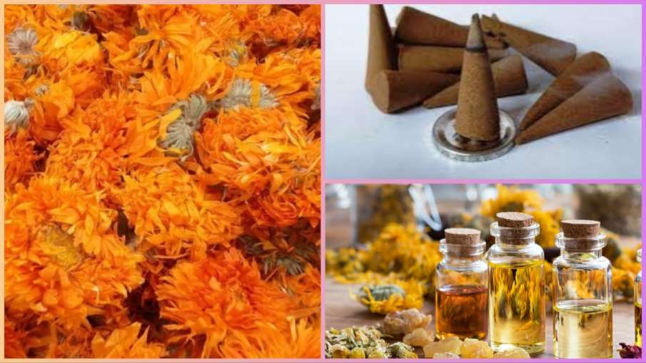 dry_flowers_recipe - India TV Hindi