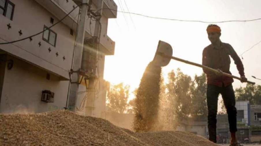 भारत ने कंगाल पाकिस्तान को किया दरकिनार, अफगानिस्तान का पेट भरने के लिए ईरान के रास्ते भेजा गेहूं- India TV Hindi