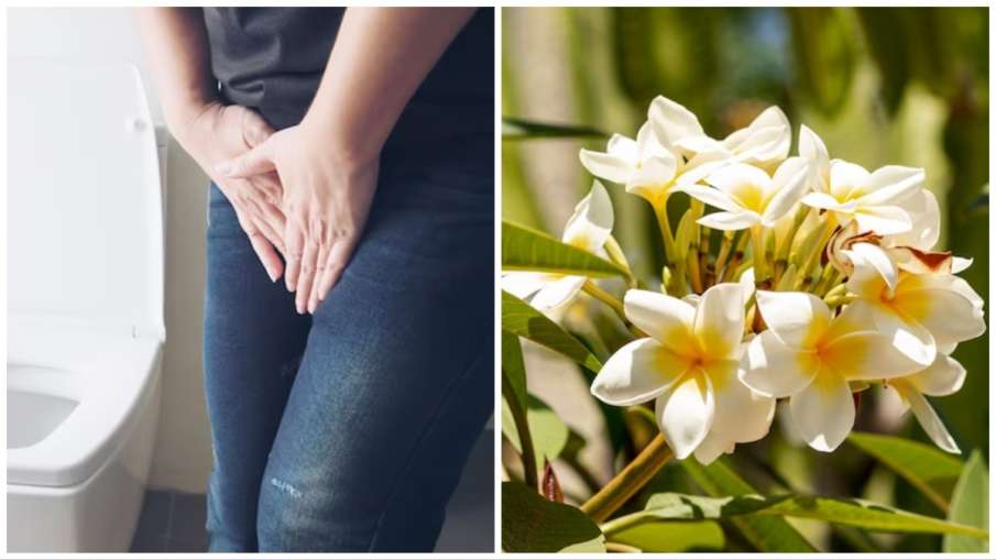 urinary disease treatment- India TV Hindi