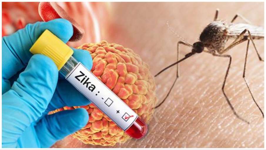 Zika Virus- India TV Hindi