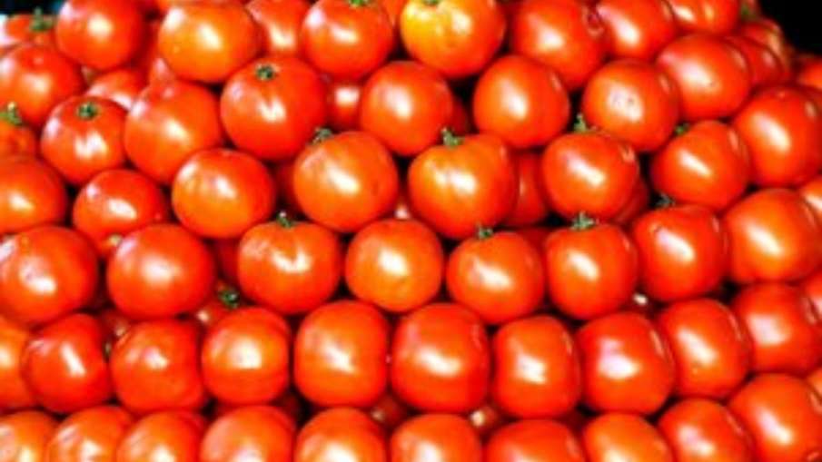 टमाटर।- India TV Hindi