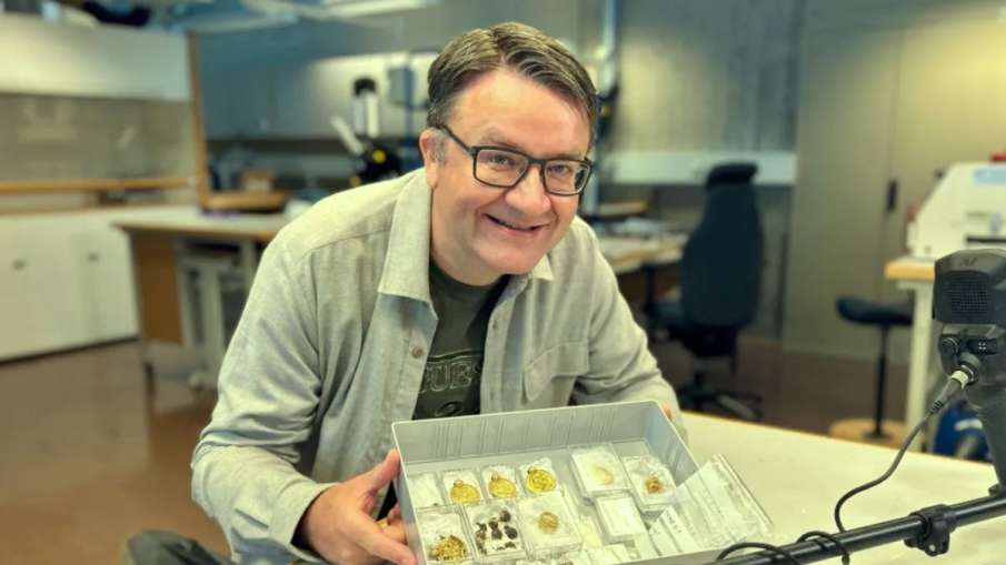 Norwegian man finds thousands-year-old treasure - India TV Hindi