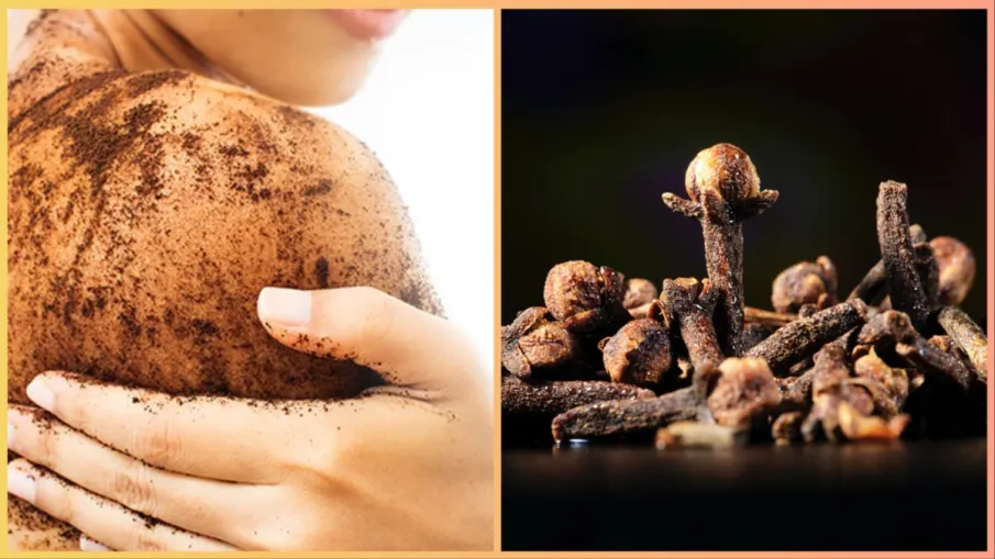 कपूर, तेजपत्ता और लौंग से बनाएं ये एंटीबैक्टीरियल स्क्रब | Antibacterial Scrub for body in hindi