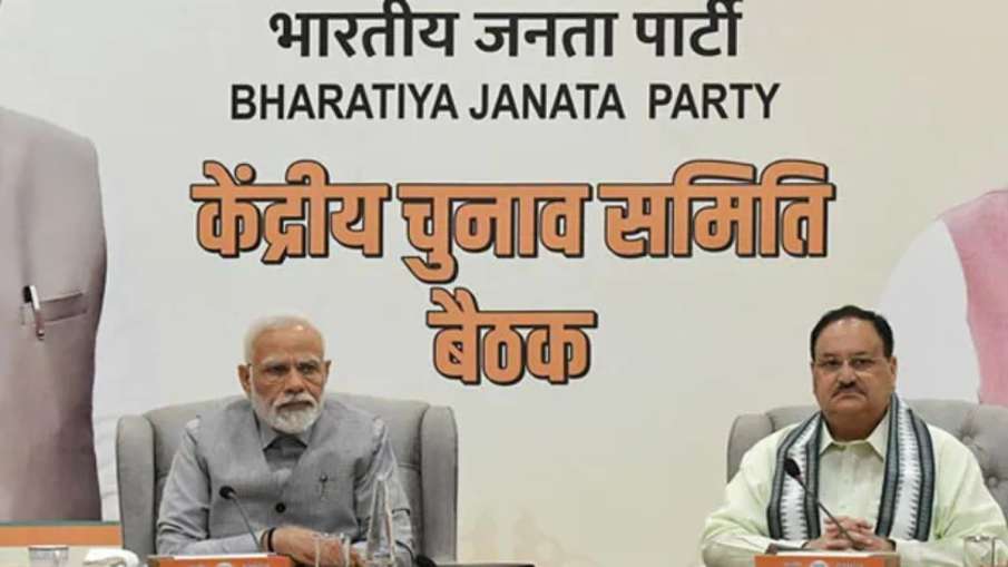 BJP Central Election Committee - India TV Hindi