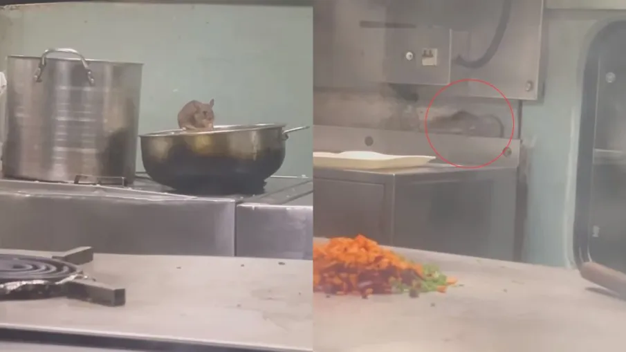 This is the quality of Indian Railways food, rats seen eating in the