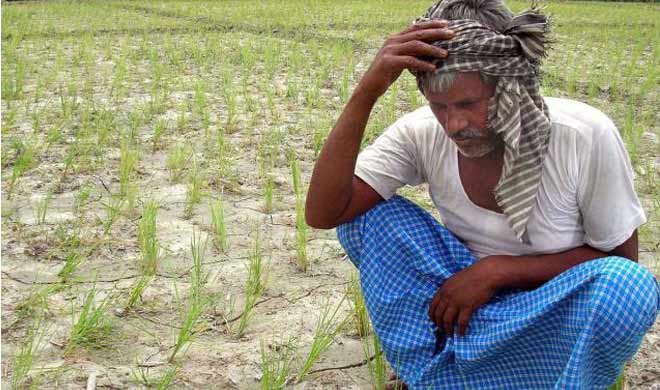 इस साल किसानो को सस्ता...- India TV Hindi