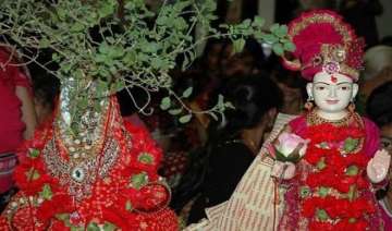 तुलसी विवाह: ऐसे करें...- India TV Hindi